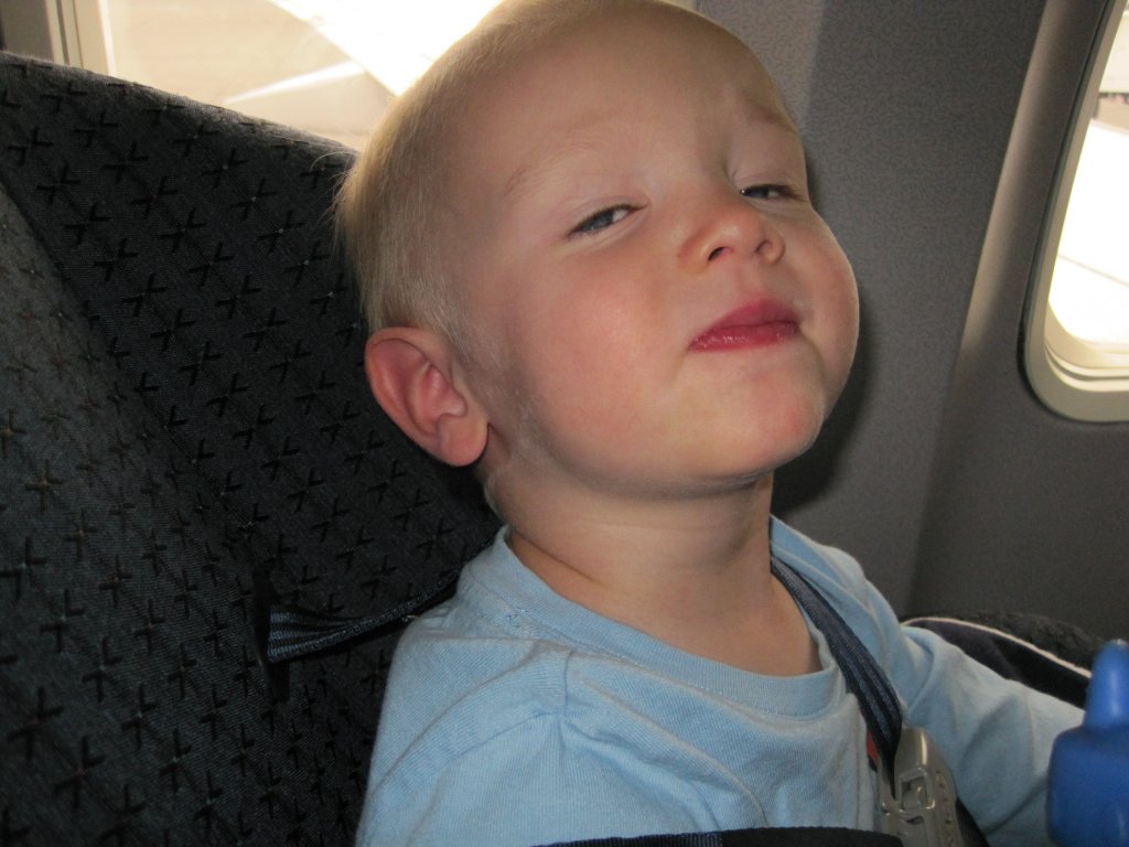 Makai on his 5th flight. He fell asleep on take off! Engines roaring and all.
