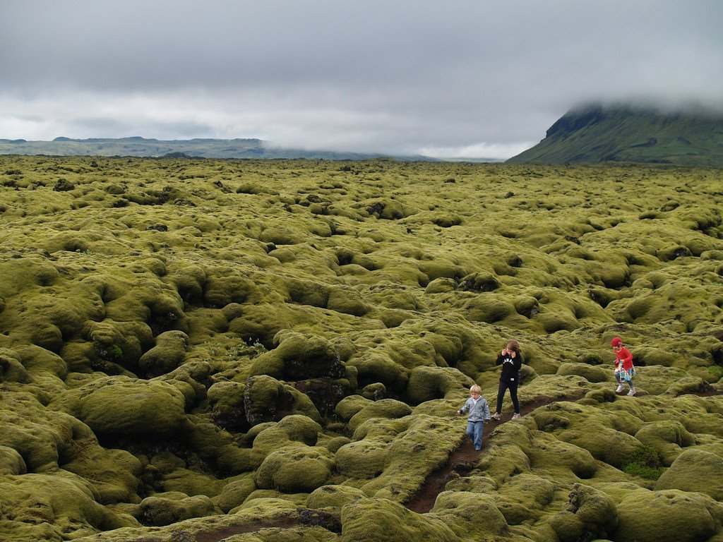 Best time to visit Iceland with kids