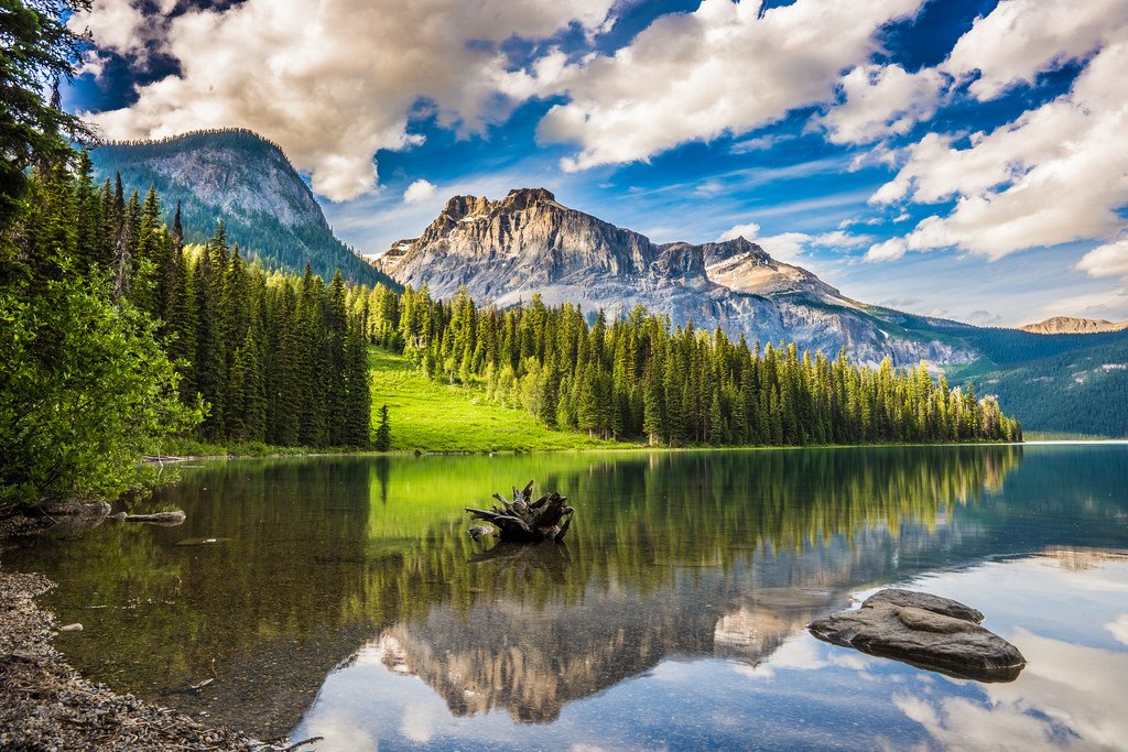 Canada's national parks- Emerald Lake in Banff National Park